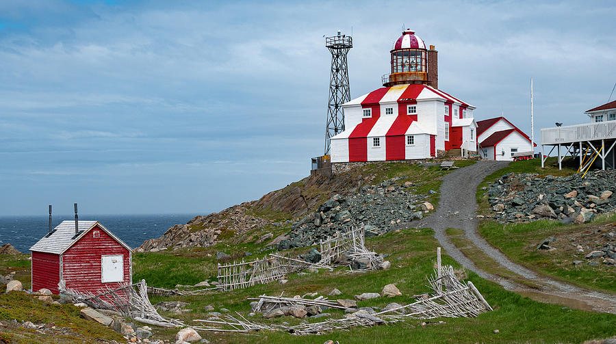 Cape Bonavista Lighthouse Photograph by Doug Matthews - Fine Art America