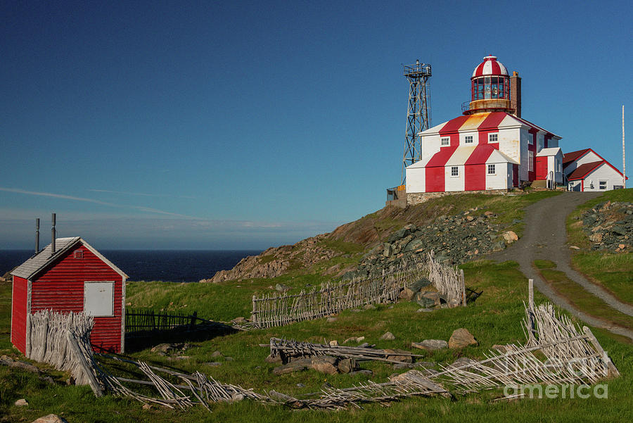 Cape Bonavista Lighthouse Newfoundland Photograph by Dan Murray - Fine ...