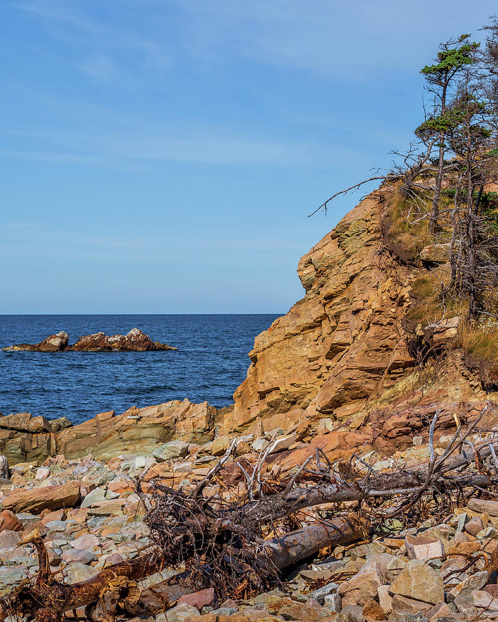Cape Breton Coast Photograph by Mark Llewellyn