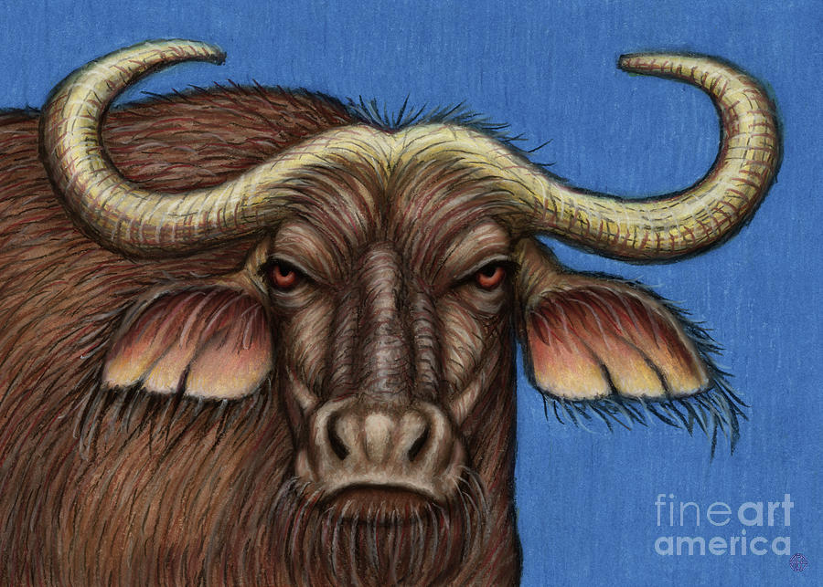 Cape Buffalo  Painting by Amy E Fraser