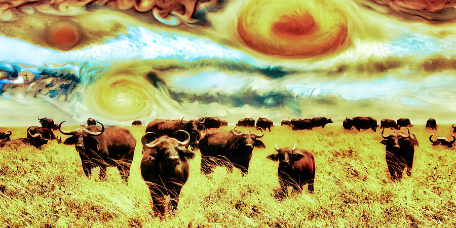 Cape Buffalo on Serengeti Plains with Jupiter Sky Digital Art by Bruce Block