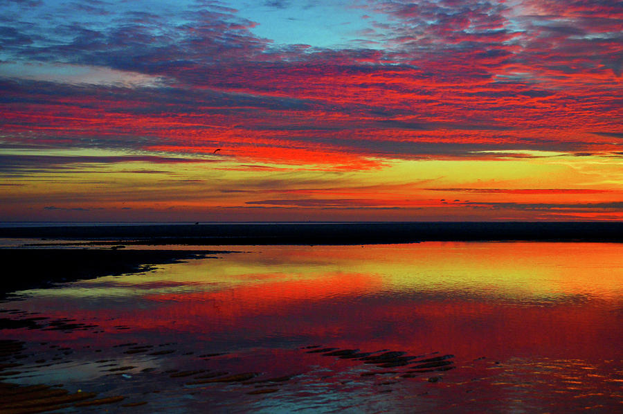 Cape Cod Bay Magic Sunrise Photograph by Dianne Cowen Cape Cod Photography