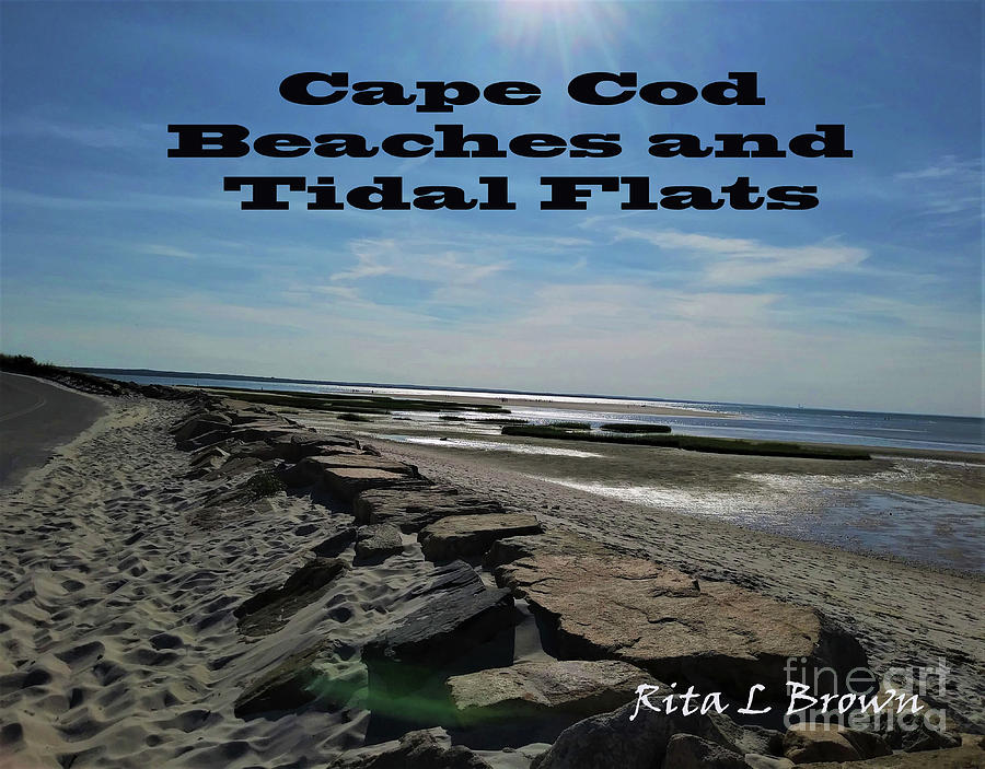 Cape Cod Beaches and Tidal Flats Painting by Rita Brown