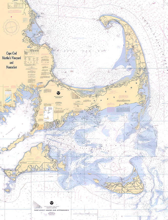Cod Chart Cape Cod Nautical Chart Painting by Jasper Athena - Fine Art America