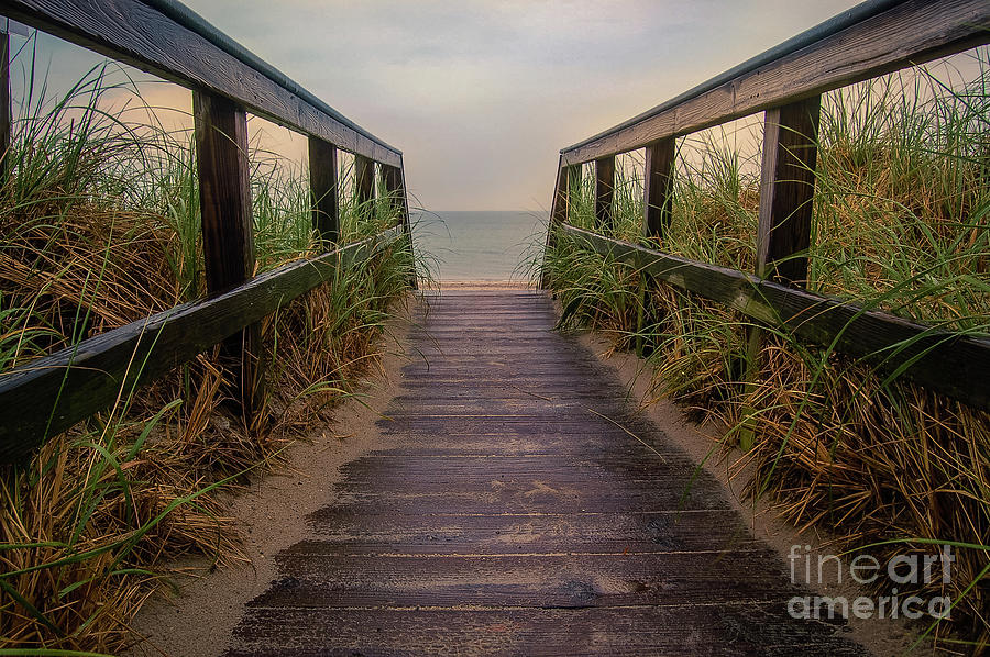 Cape Cod Walkway Photograph by Kelly Wade