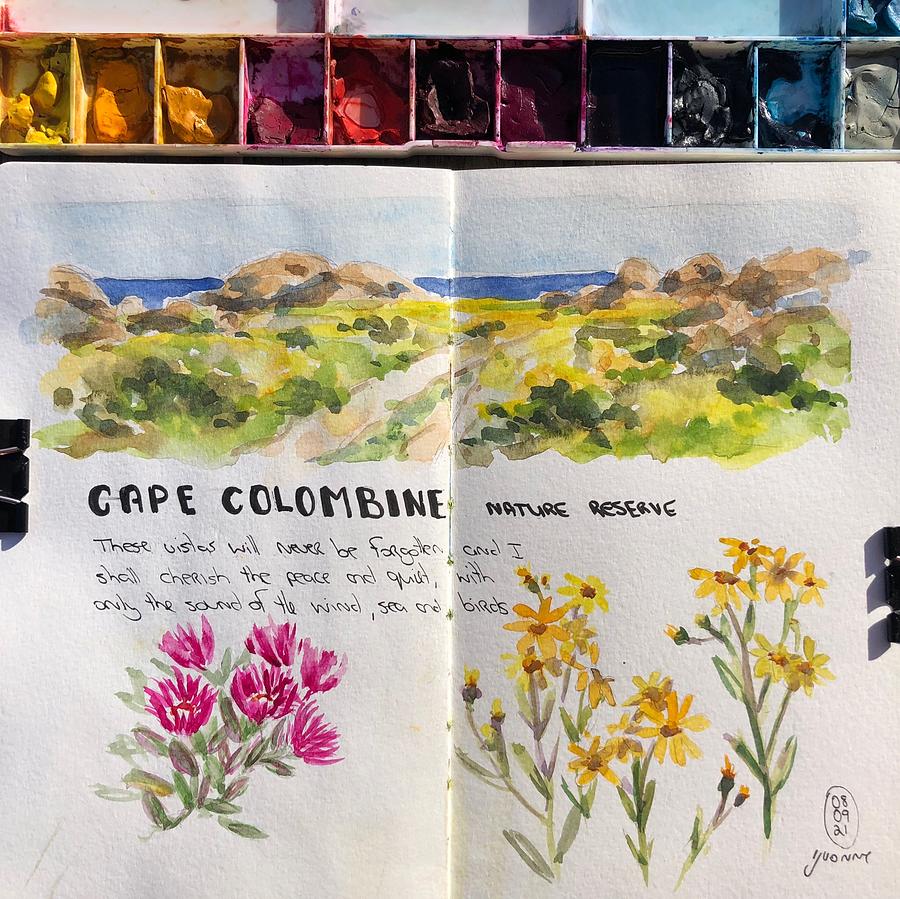 Wild Flowers Painting - Cape Colombine by Yvonne Ankerman