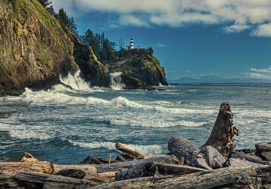 Cape Disappointment 780 Mike Penney 