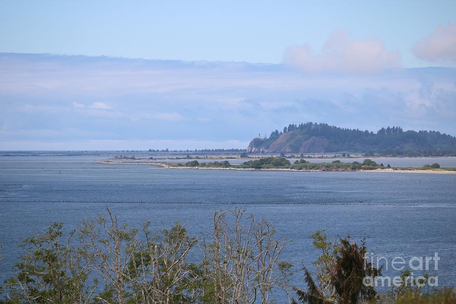 Cape Disappointment from Fort Columbia Photograph by Carol Groenen