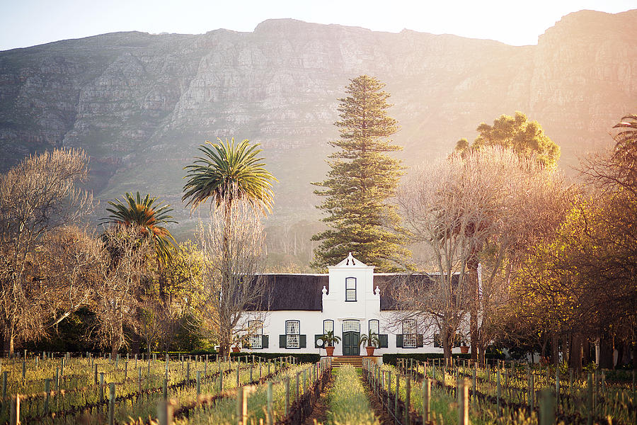 Cape Dutch Winelands Architecture Photograph by Wilpunt