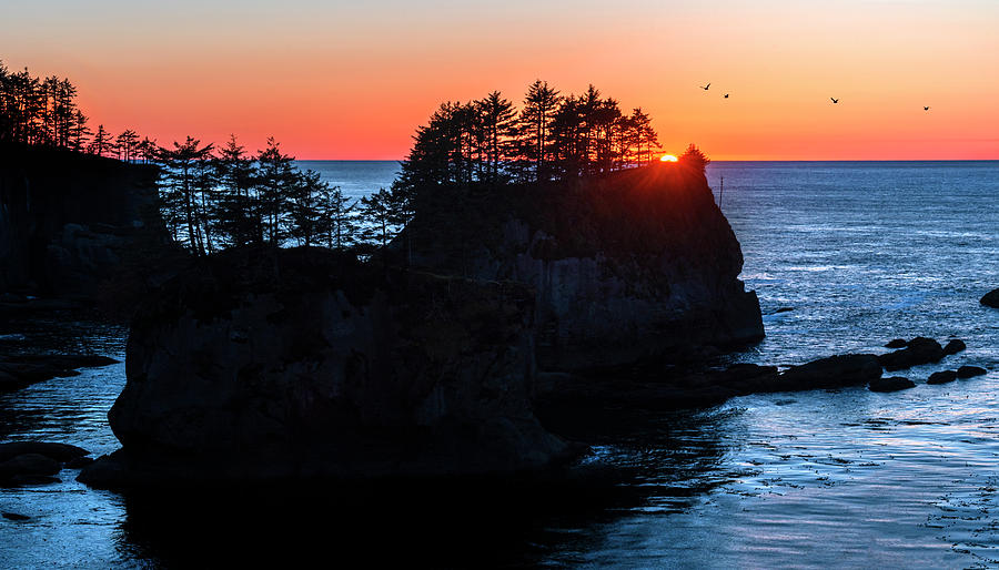 Cape Flattery Photograph by John Poon