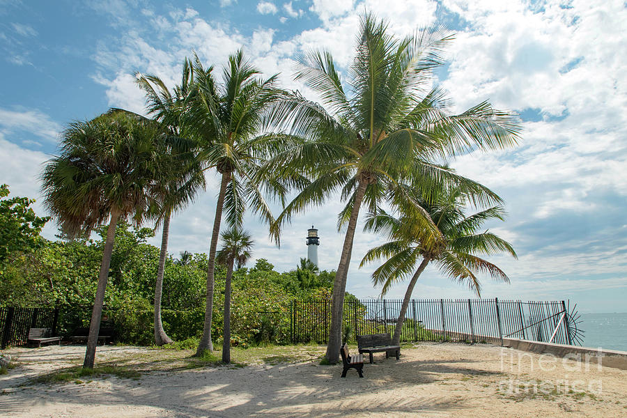 Cape Florida Lighthouse and Palm Trees on Key Biscayne Photograph by Beachtown Views
