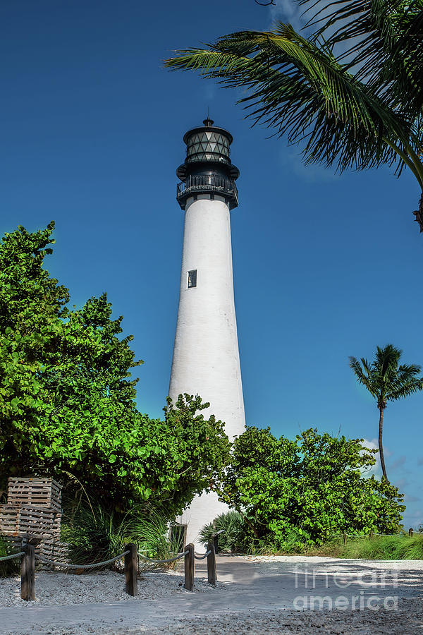 Cape Florida Lighthouse Photograph by Ed Taylor