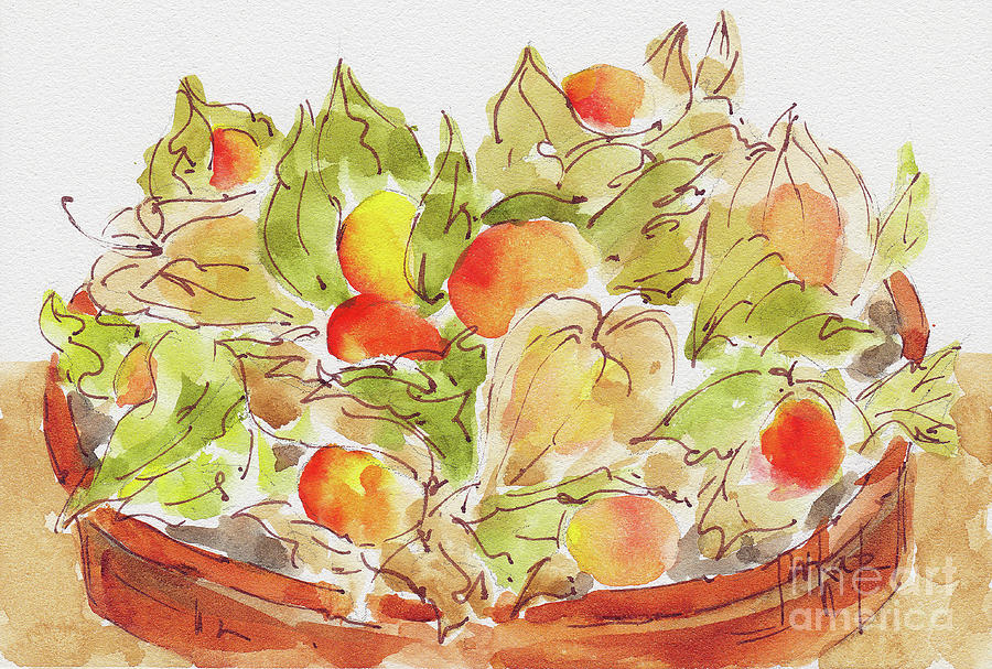 Cape Gooseberries In A Cazuala Painting by Pat Katz