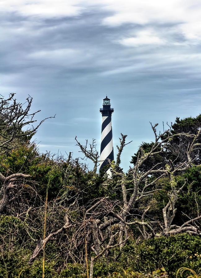 Cape Hatteras Lighthouse Photograph by Francis Sullivan