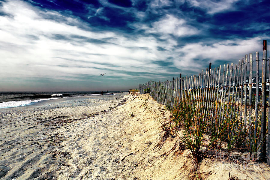 Cape May Dune Fence in New Jersey Photograph by John Rizzuto