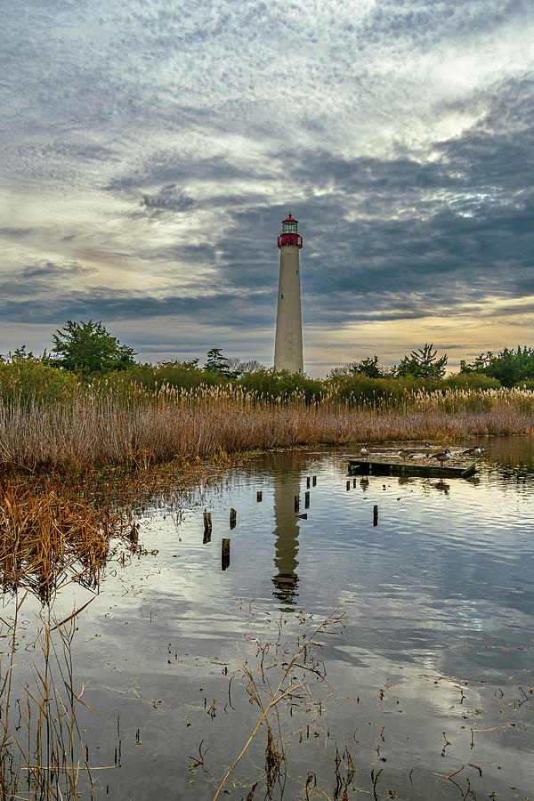 Cape May Lighthouse Photograph by Steven Richman