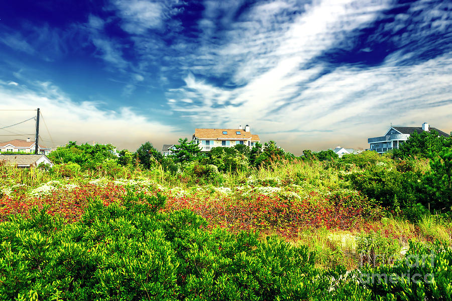 Cape May Nature in New Jersey Photograph by John Rizzuto