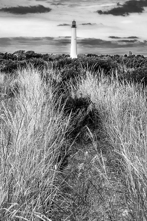 Cape May New Jersey Lighthouse #2 Photograph by Stuart Litoff