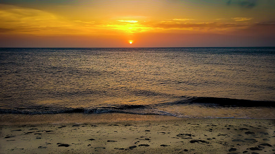 cape may sunset safari