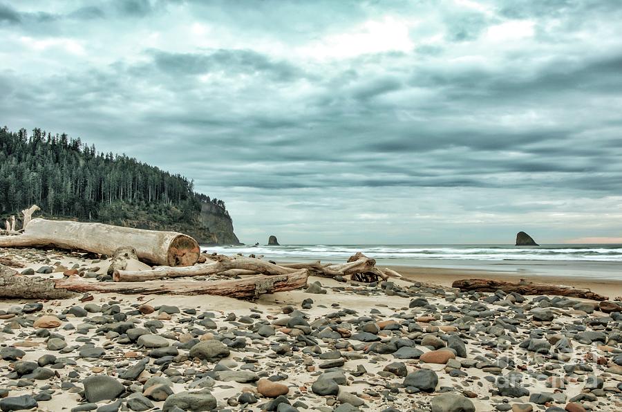 Cape Meares Beach Photograph By Jack Andreasen | Fine Art America