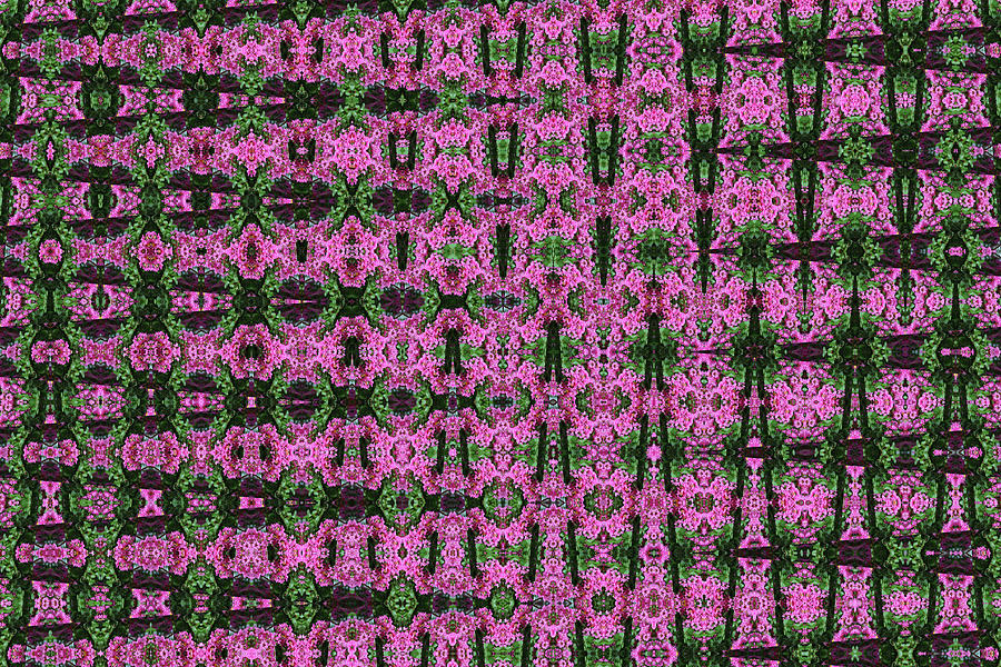 Crepe Myrtle Flowers Abstract Digital Art by Tom Janca