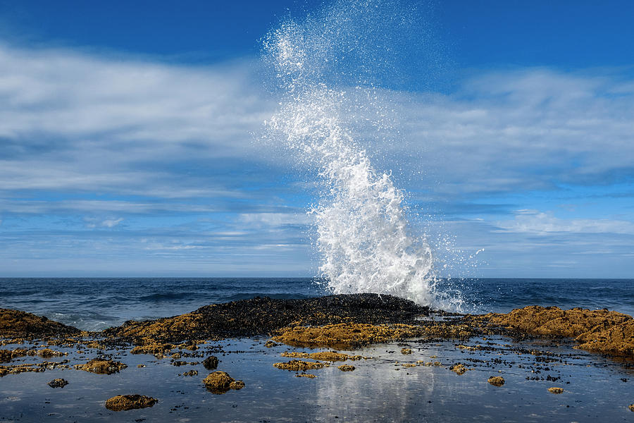 Cape Perpetua Crashing Wave 2 Photograph