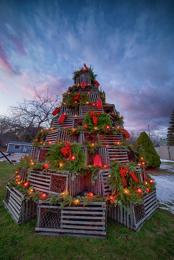 Cape Porpoise Lobster Trap Tree Photograph