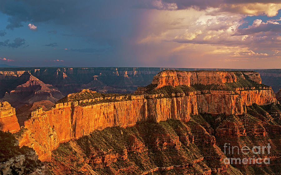 Cape Royal Sunset North Rim Grand Canyon Np Arizona Photograph by Dave Welling