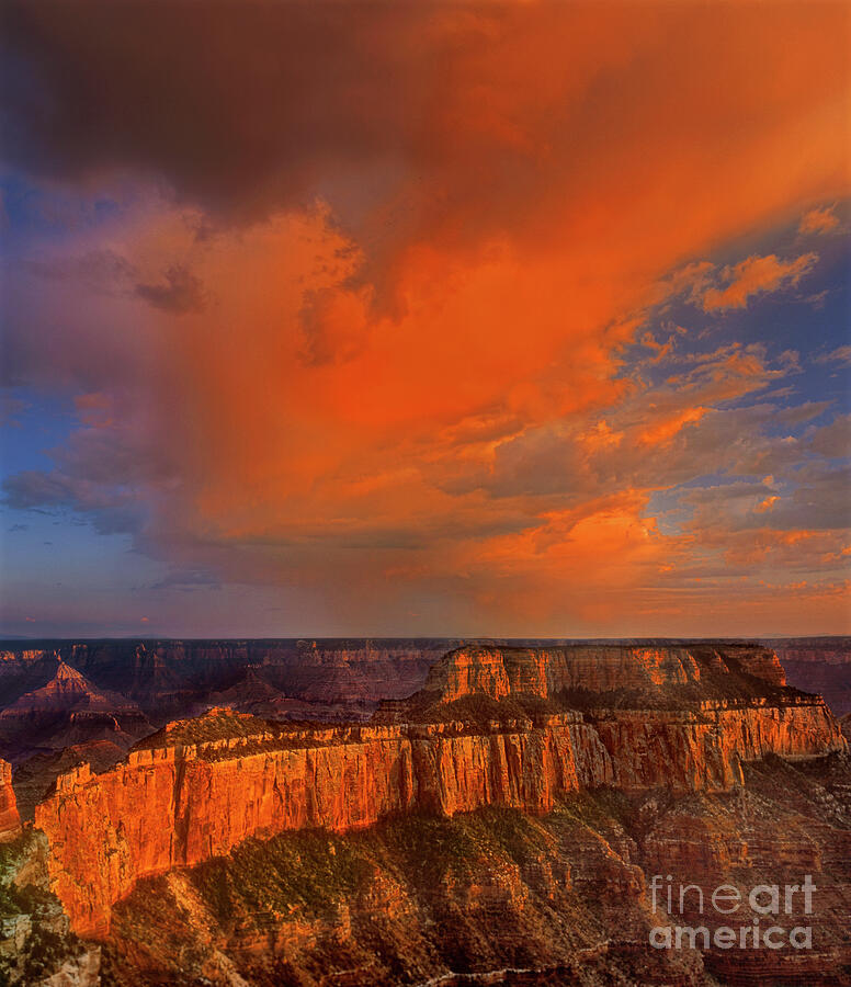 Grand Canyon National Park Photograph - Cape Royale Storm North Rim Grand Canyon National Park by Dave Welling