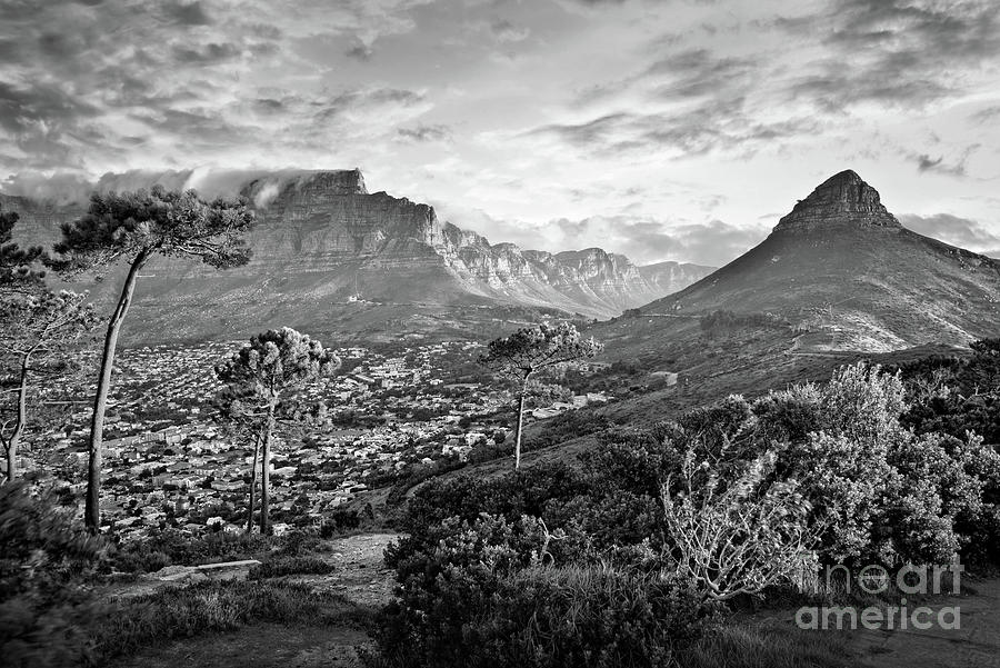 Cape Town, black and white Photograph by Delphimages Photo Creations