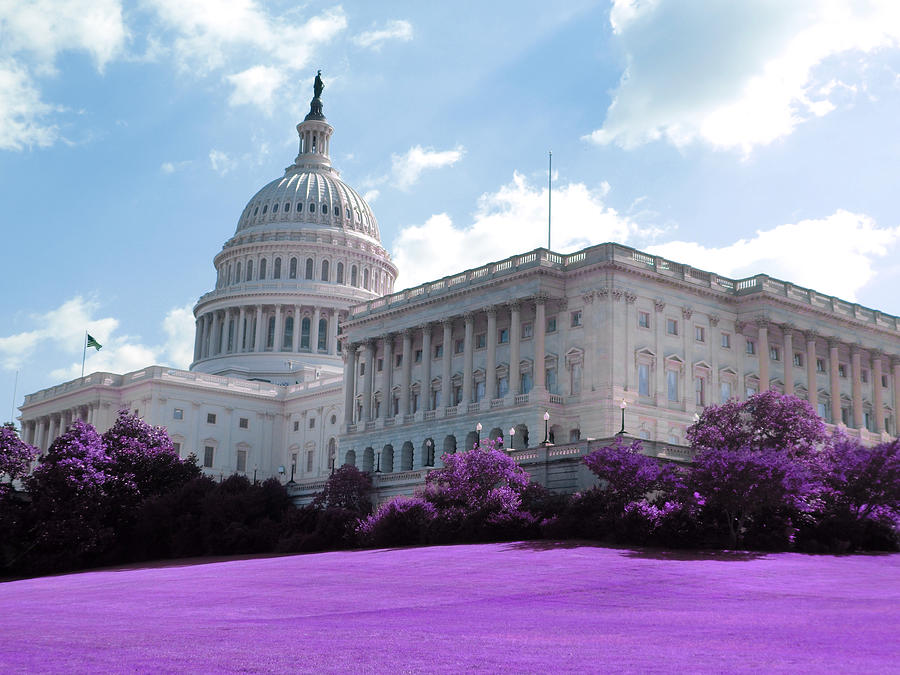 Capitol Building - Infrared - Purple Digital Art by Celestial Images