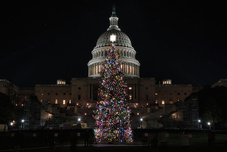 Capitol Christmas 2020 2 Photograph by Robert Fawcett