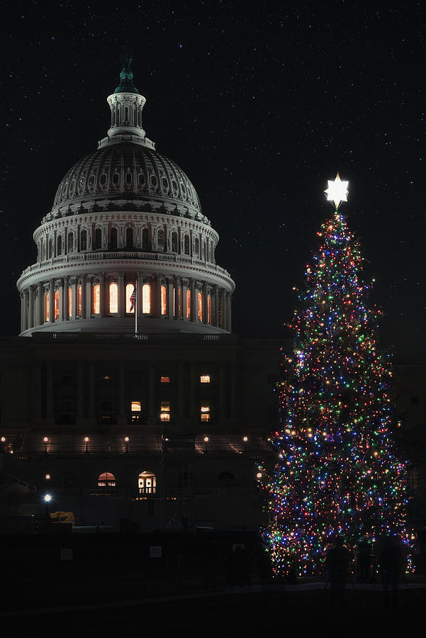 Capitol Christmas 2020 3 Photograph by Robert Fawcett