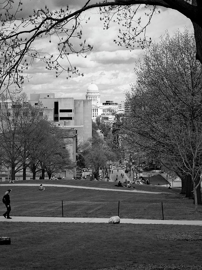 Capitol - Madison - Wisconsin from Bascom Hill Photograph by Steven Ralser