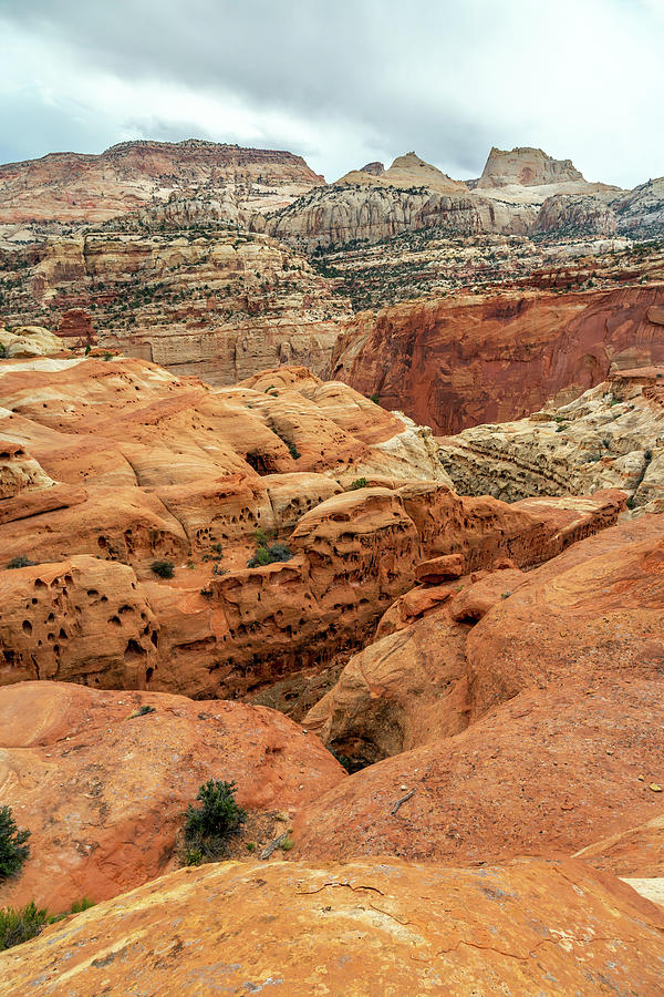 Capitol Reef Canyons Photograph by Pierre Leclerc Photography