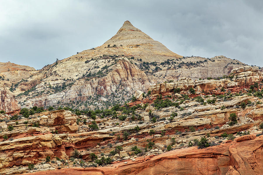 Capitol Reef Capitol Dome Photograph by Pierre Leclerc Photography