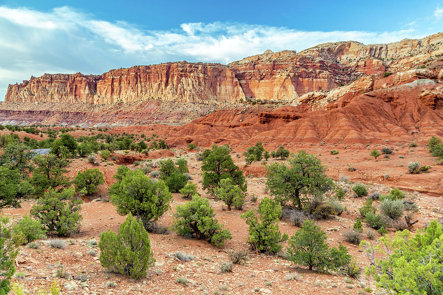 Capitol Reef Grand Vista Photograph by Pierre Leclerc Photography