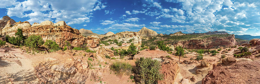 Capitol Reef National Park Photograph - Capitol Reef Hickman Trail by Sebastian Musial