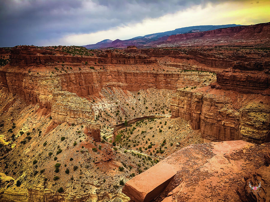 Capitol Reef NP Photograph by Pam Rendall