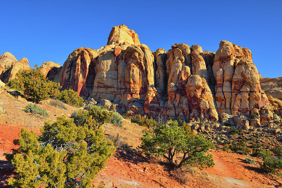 Capitol Reef Off the Beaten Path Photograph by Greg Norrell