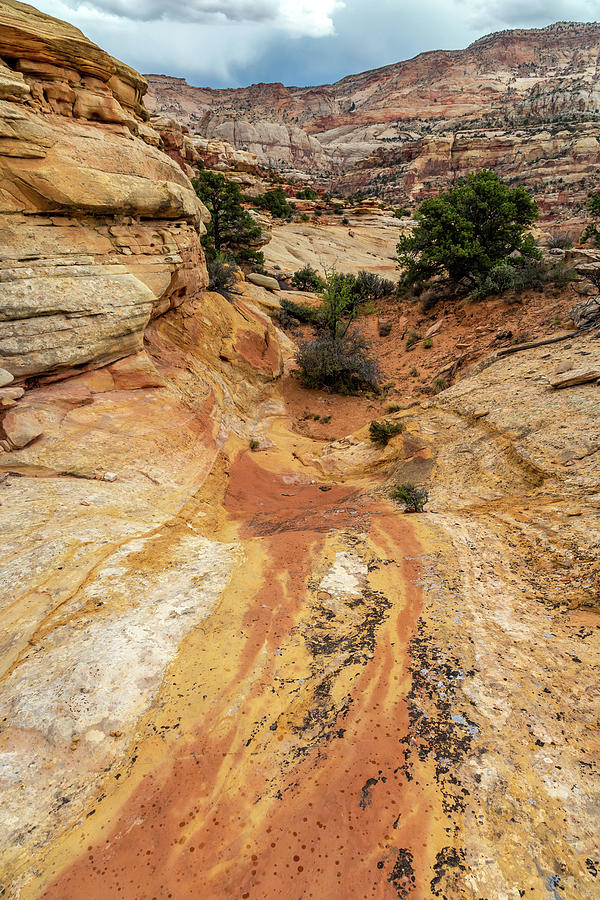 Capitol Reef Spilled Paint  Photograph by Pierre Leclerc Photography