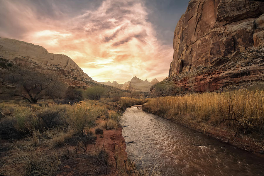 Capitol Reef National Park Photograph - Capitol Reef by Steve Berkley