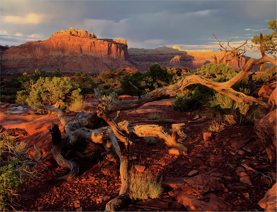 Capitol Reef Sunset Photograph by Bob Falcone