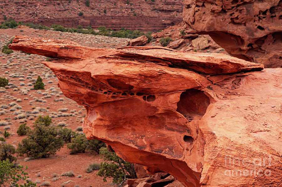 Capitol Rock Red Rock Ledge over Desert Floor by Bob Phillips