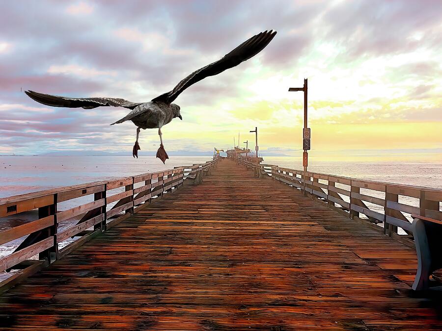 Capitola Pier Landing Photograph by Christina Ford
