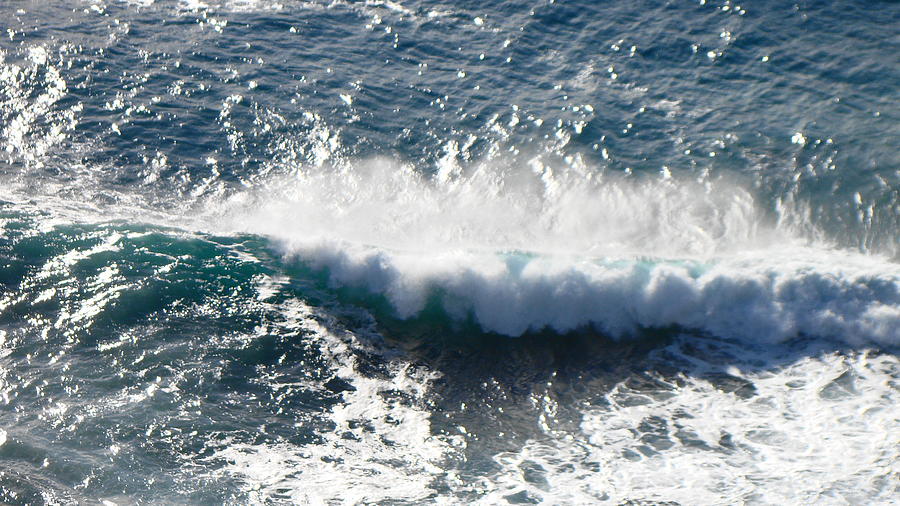 Capo mimosa, novembre 2009 Photograph by Marco Cattaruzzi - Fine Art ...