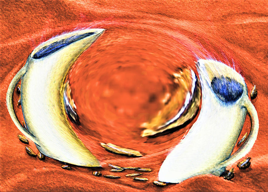 Cappuccino Tango - Orange Digital Art by Ronald Mills
