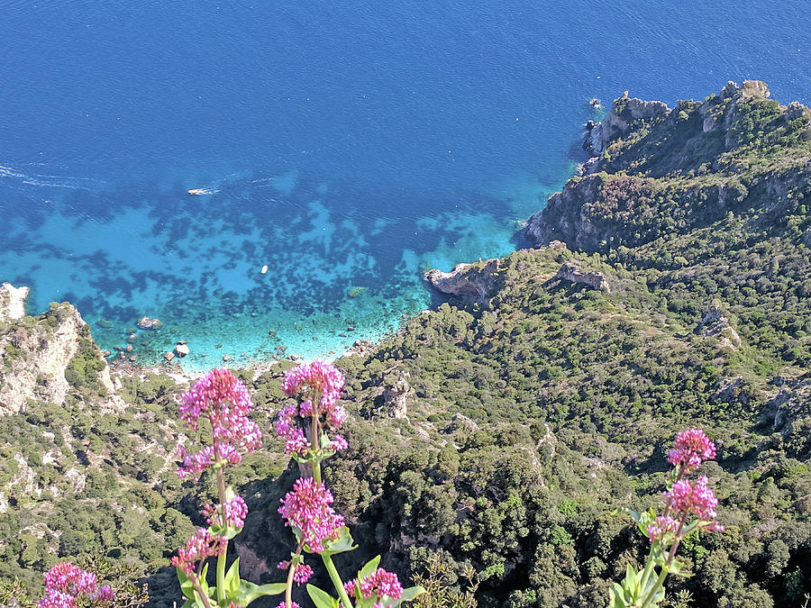 Capri, sea and flowers  Photograph by Yvonne Jasinski