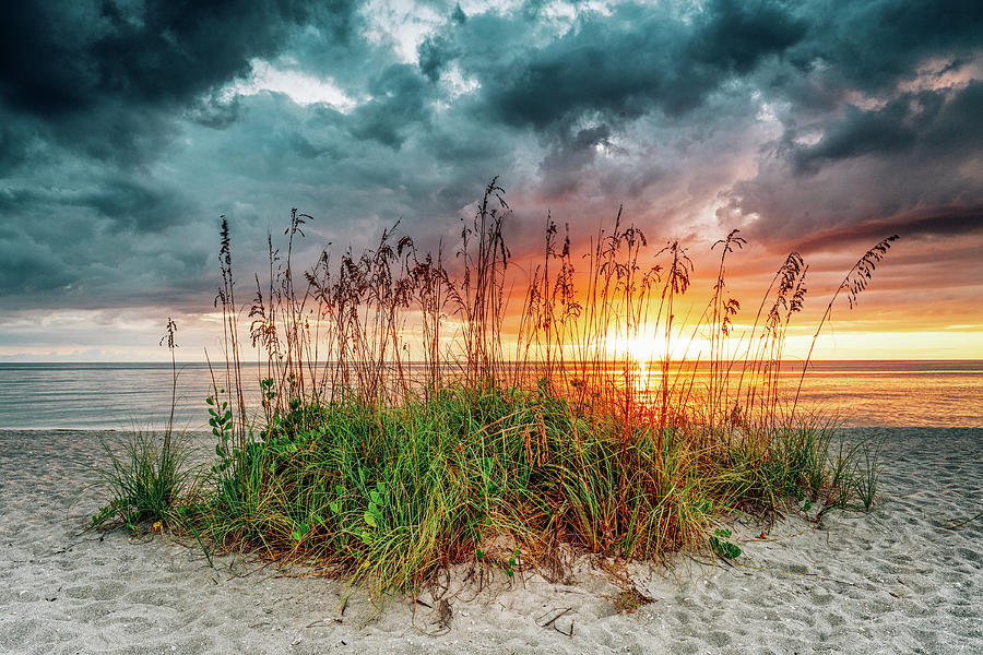 Captiva Sunset Photograph by Nick Davis - Fine Art America