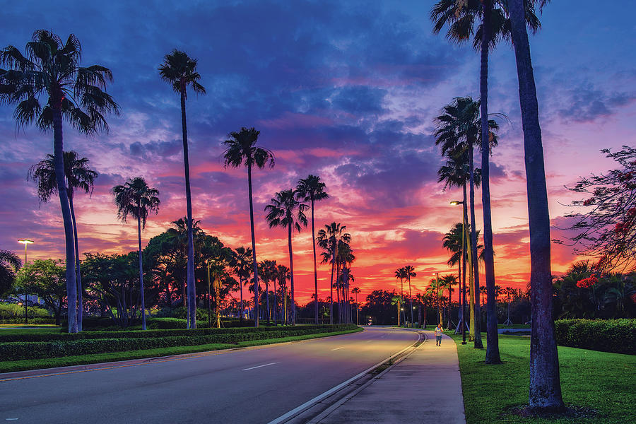 Captivating View of Gardens Parkway, Palm Beach Gardens Florida Photograph by Kim Seng